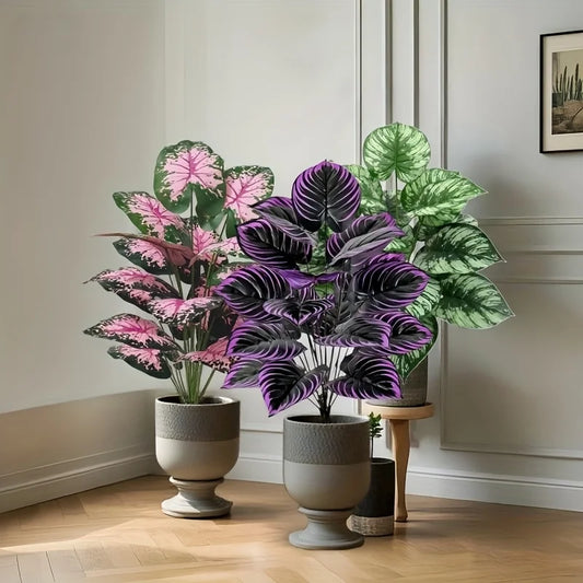 Three potted plants with pink, purple, and green leaves in a room with wooden flooring and a neutral wall.
