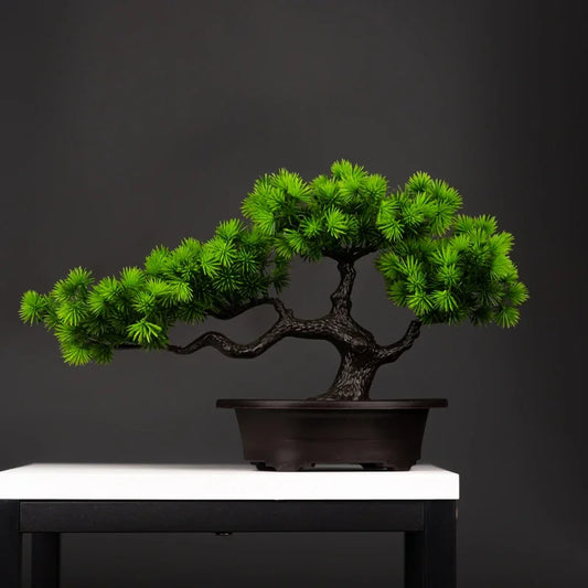 Bonsai tree in a pot on a white surface with a dark background